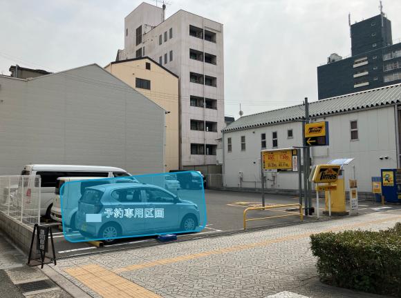 全体写真