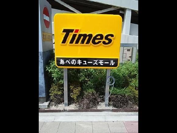 全体写真