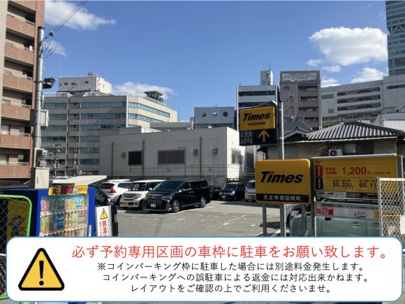 全体写真